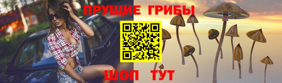 Галлюциногенные грибы Magic Shrooms  Галлюциногенные грибы MAGIC MUSHROOMS  где купить наркотик  Вход с VPN  Чебоксары 