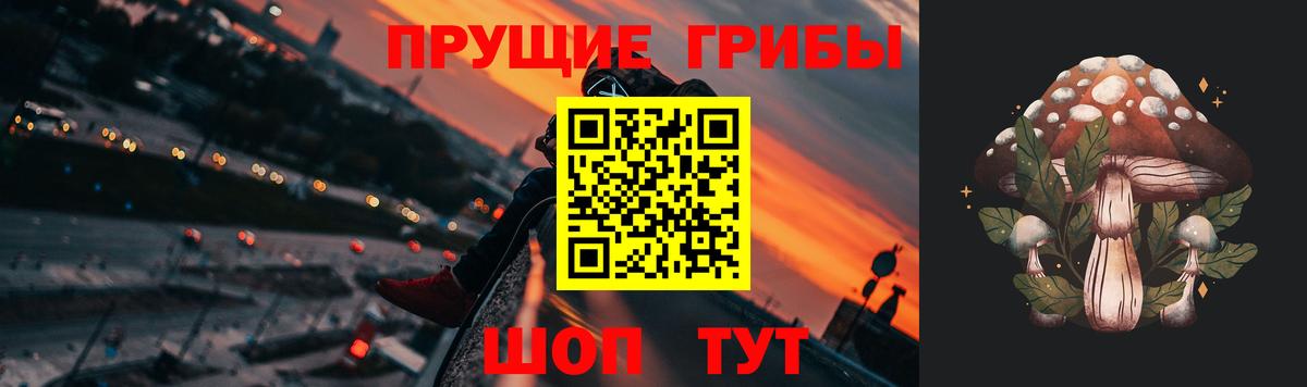 Галлюциногенные грибы GOLDEN TEACHER Чебоксары